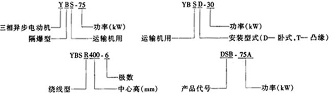 YBS系列運(yùn)輸機(jī)用隔爆型異步電動機(jī)概述及結(jié)構(gòu)簡介
