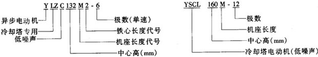YSCLYLZCϵsõஐ늄әC(j)Y(ji)(gu)鼰c(din)